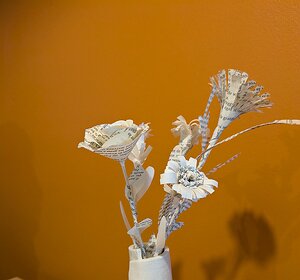 20241121_PXL113441826_Pixel7a-JEB